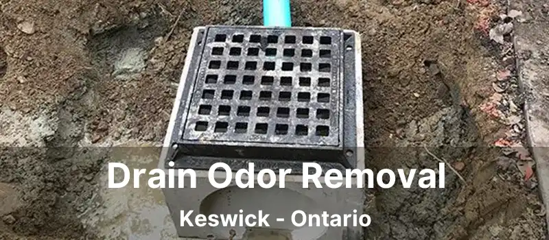 Drain Odor Removal Keswick - Ontario